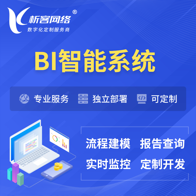 阳江BI智能系统 | BI数据可视化