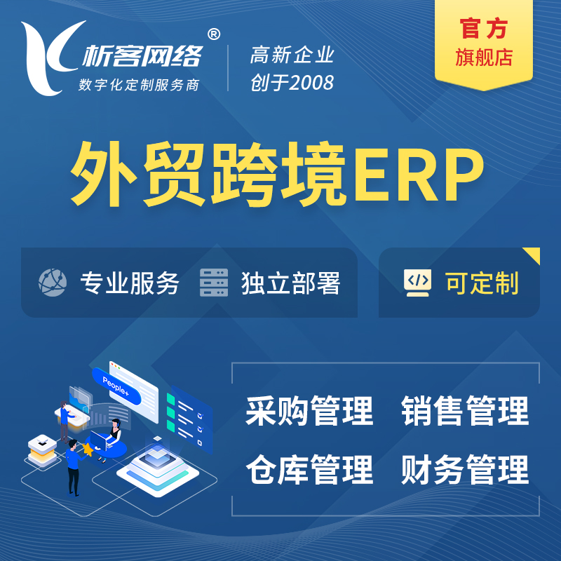 阳江外贸跨境ERP软件生产海外仓ERP管理系统