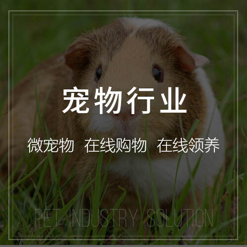 阳江分销商城系统制作如何助力企业拓展销售渠道